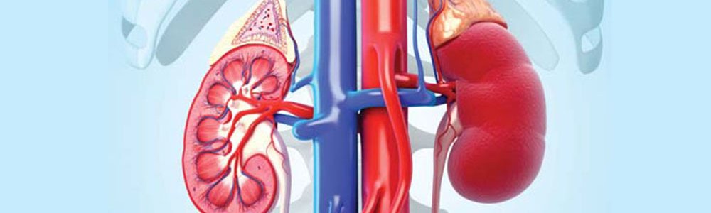 Dr. Mohan Singh Provide Best Kidney Failure Treatment in Delhi