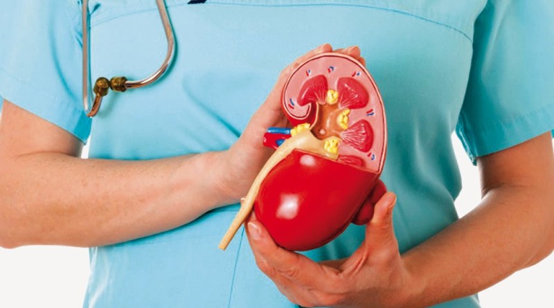 Dr. Mohan Singh Provide Best Kidney Failure Treatment in Delhi